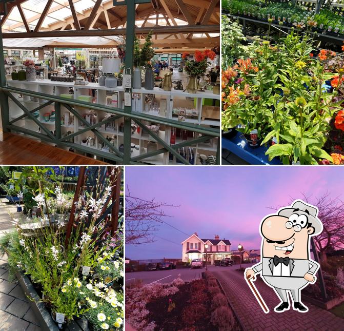 Nichol's Garden & Pet Center & Cafe