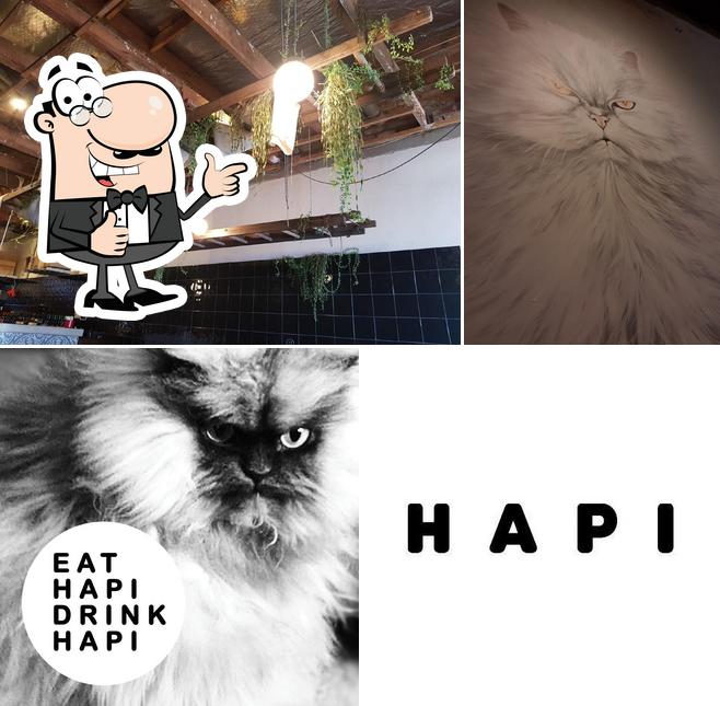 H A P I
