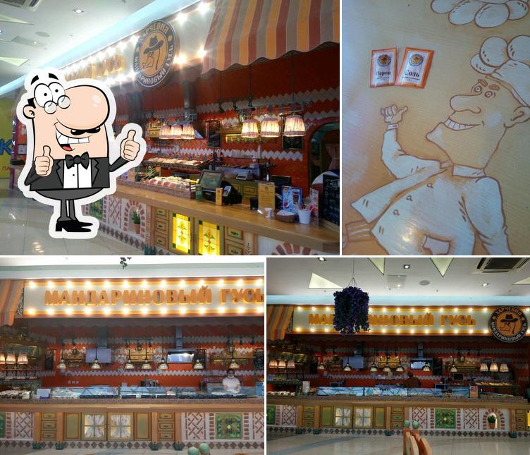 Мандариновый Гусь