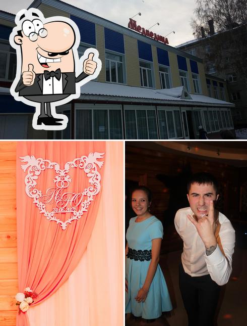 Медведица