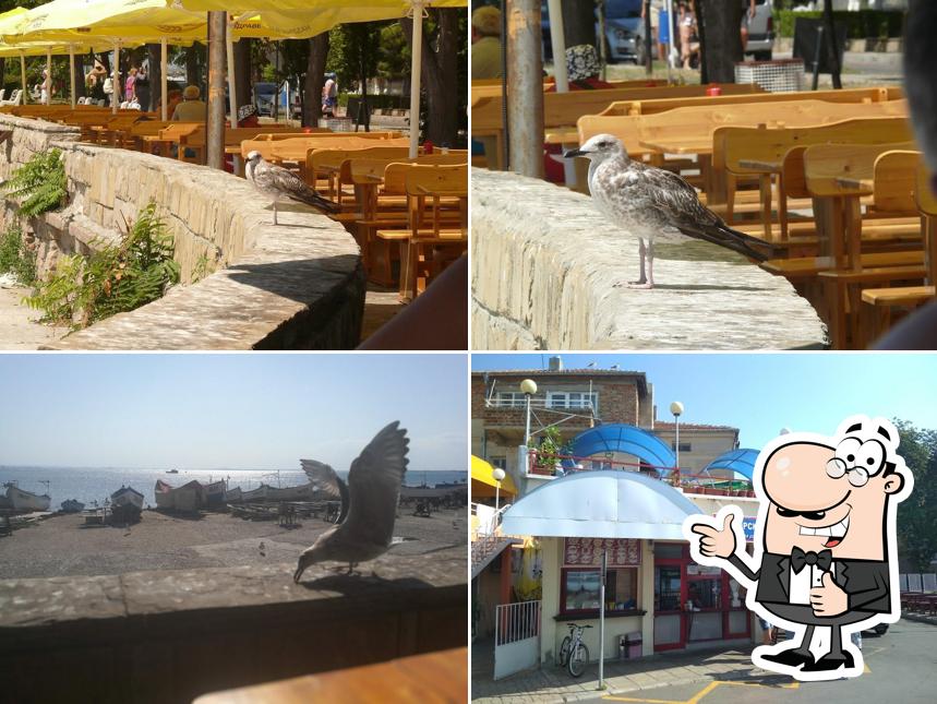 Морски Дар