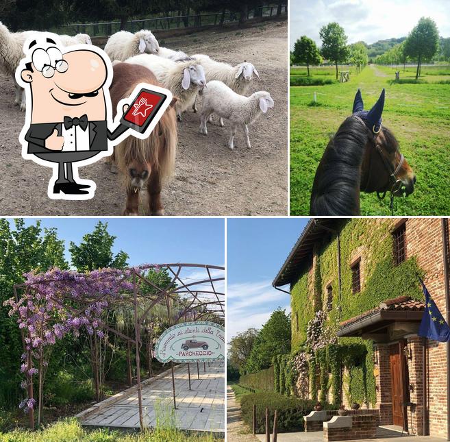 Ristorante Dell’agriturismo Malabaila