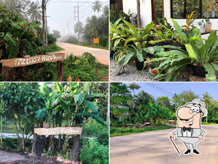 กันเกราคาเฟ่ชุมพร
