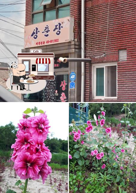 상춘장