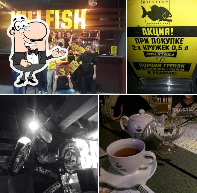 Killfish