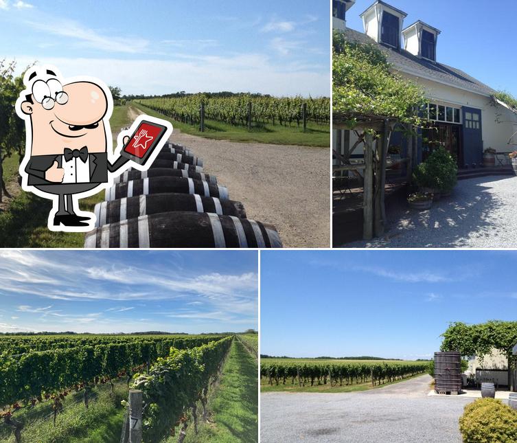 Lenz Winery