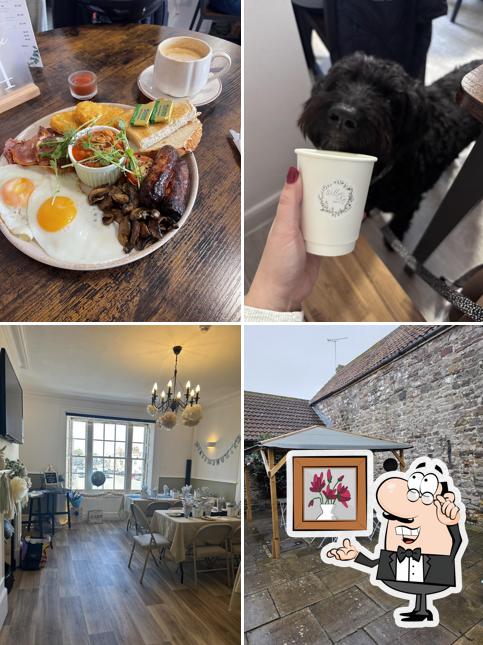 Willow and Fig Cafe
