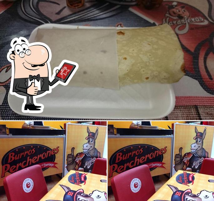 Burros Percherones