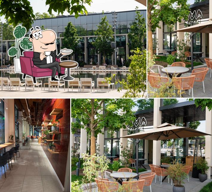 Ava Bistro