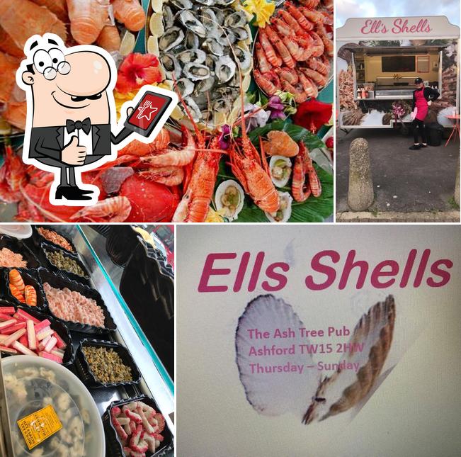Ells Shells