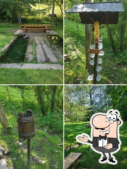 Močidla
