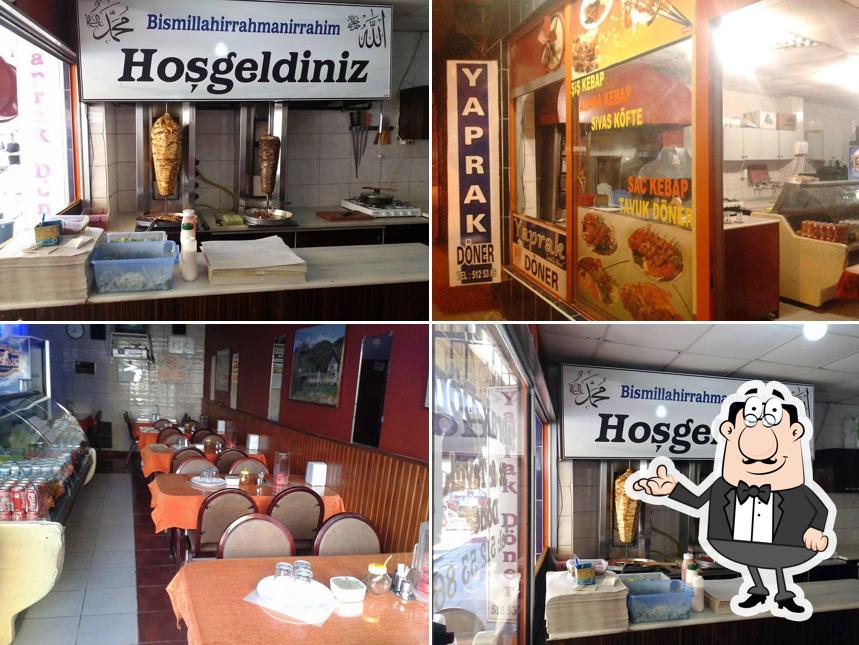 Yaprak Doner