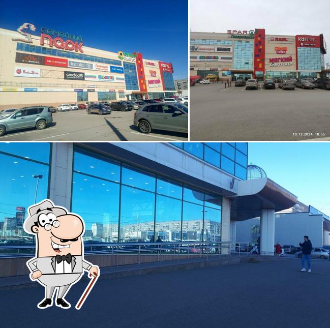 Кинза