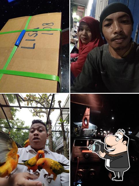 Batu Kepiting