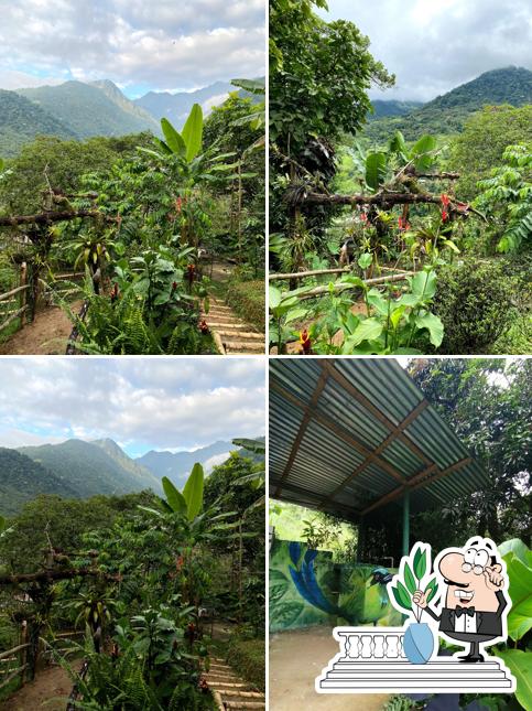 Finca Villa Cielo