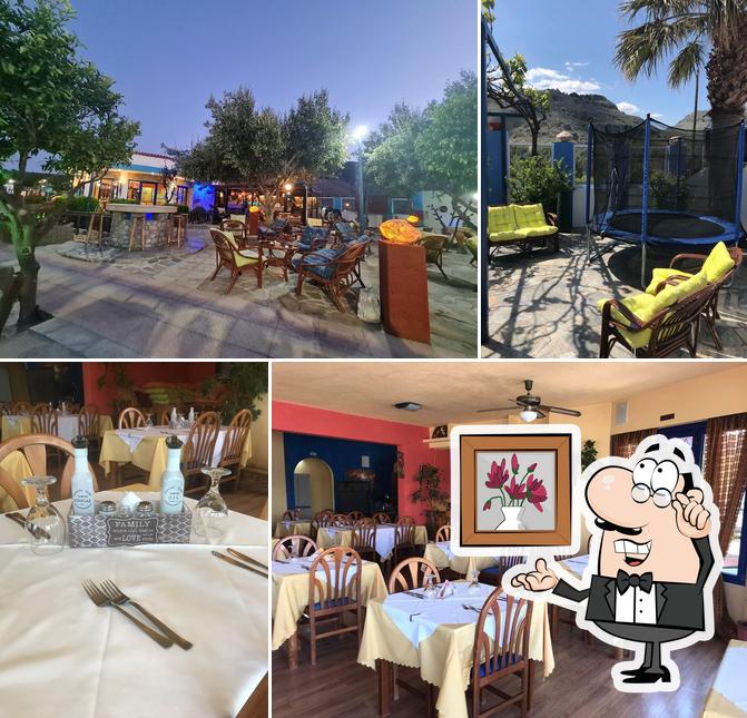 Olive Groves Ελαιώνας Family Greek Bar Restaurant