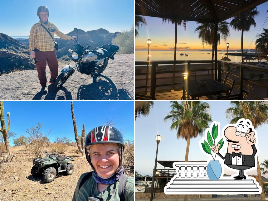 BAJA MIA SUITES & TOURS