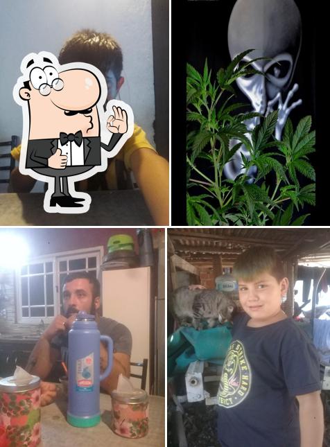 Hola Loco
