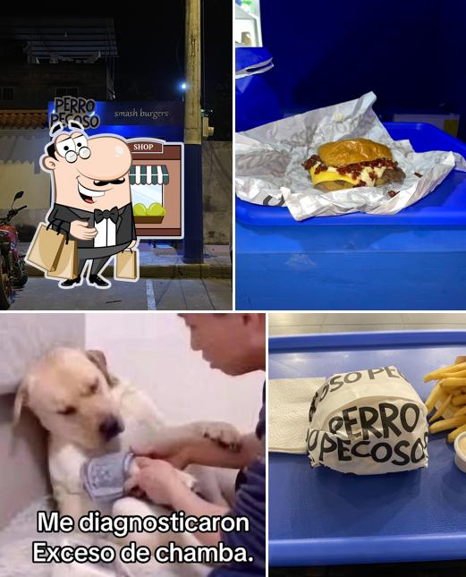 Perro Pecoso Chone