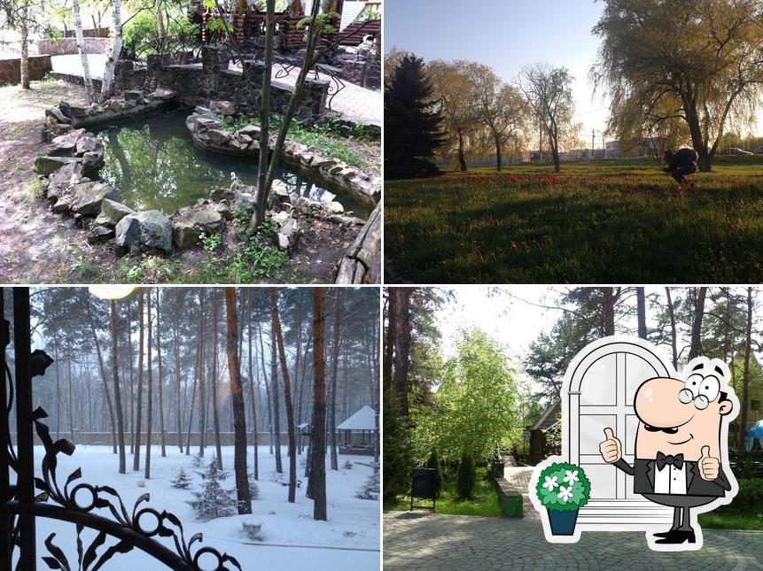 Соловьиная Роща