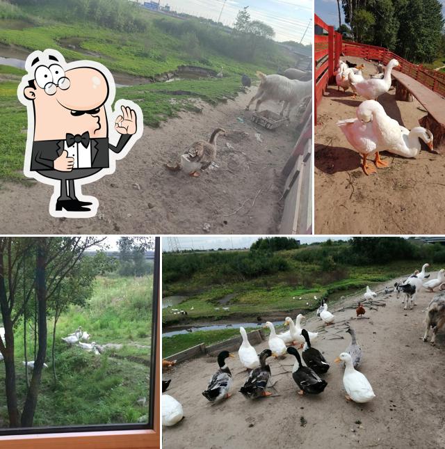 Шашлычный домик