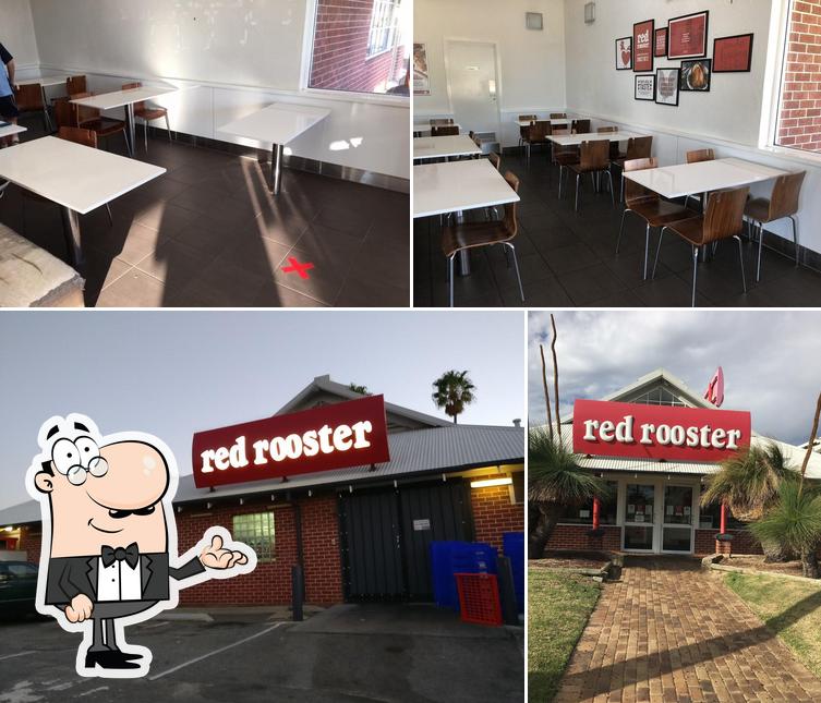 Red Rooster Carine