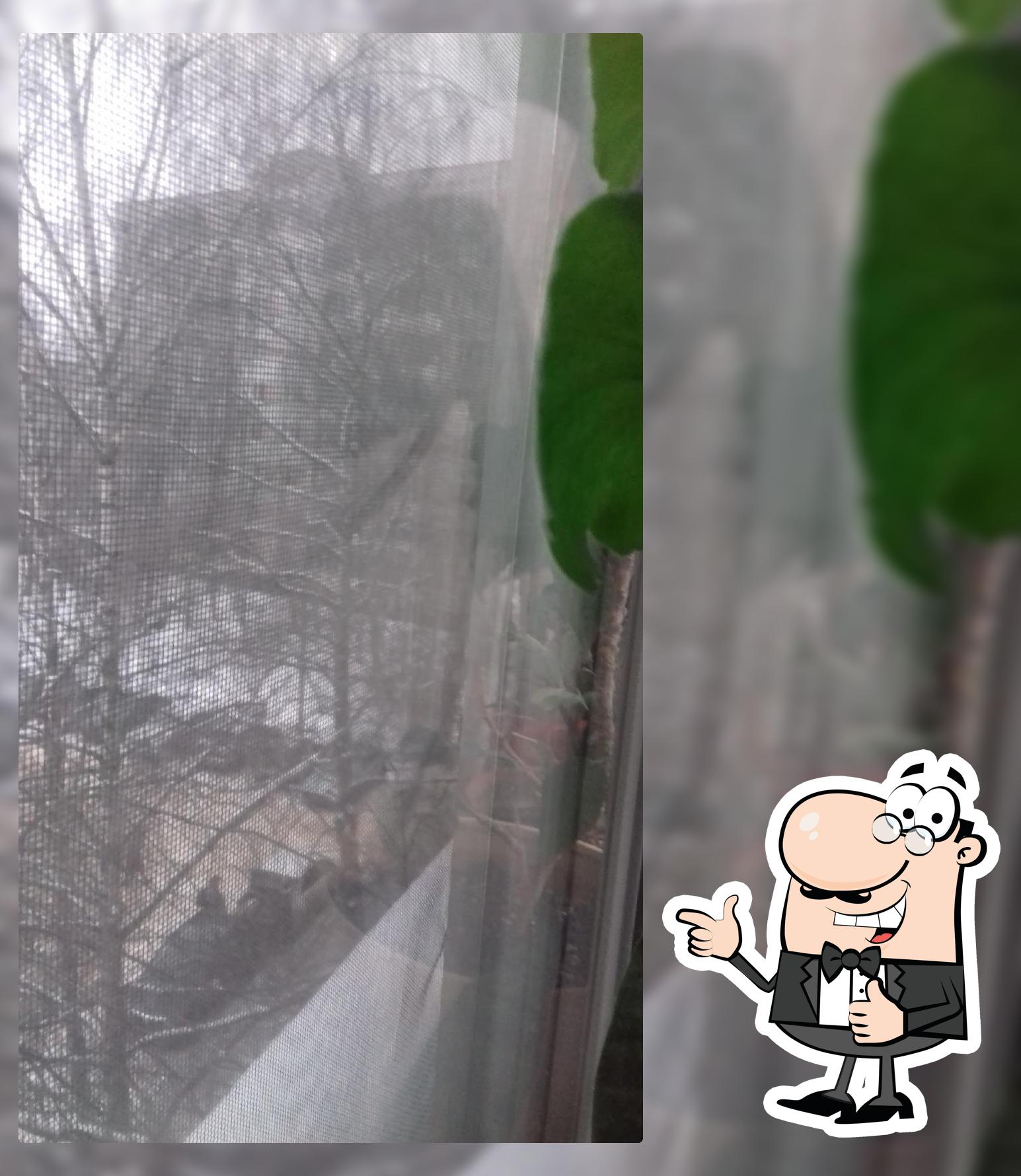 Морожная Палатка