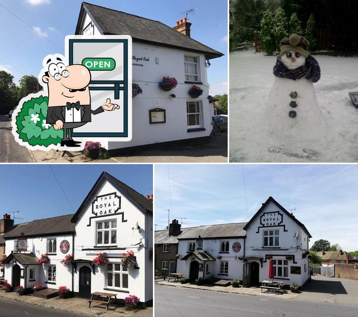 Royal Oak