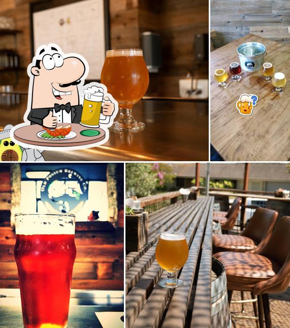 Old Possum Brewing