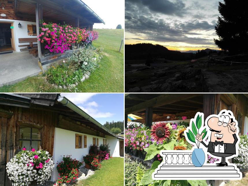 Zenz-Alm