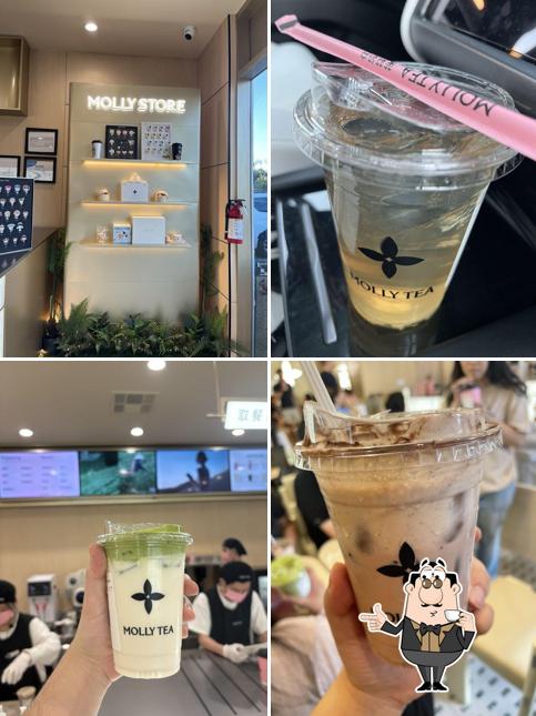 Molly Tea Arcadia