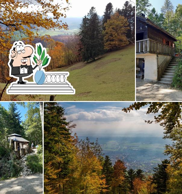Waldhütte Flüelisboden