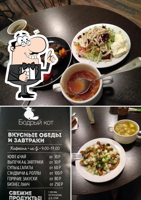 Бодрый Кот