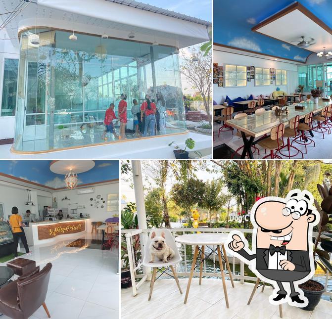 Dog'C​ Blog​ Felicita'