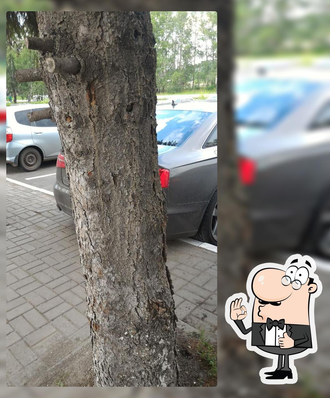Лавочка встреч