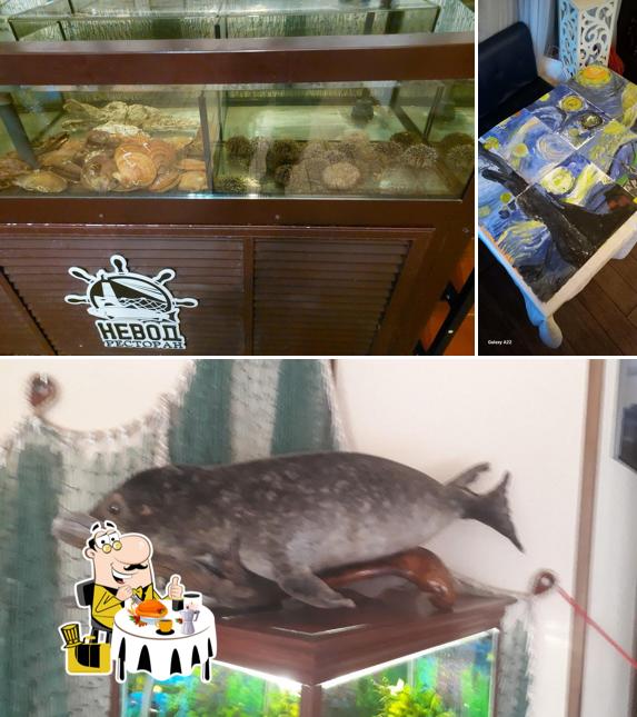 Блюда в "Неводе"