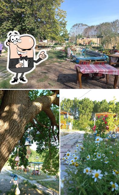 Gül Bahçesi Piknik Alanı Çatalca