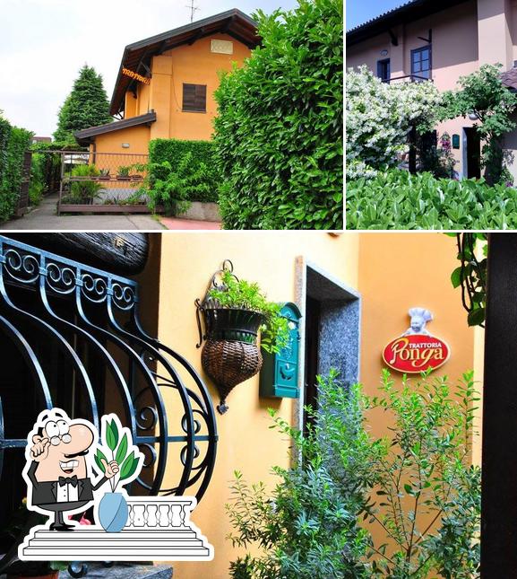 Trattoria Ponga
