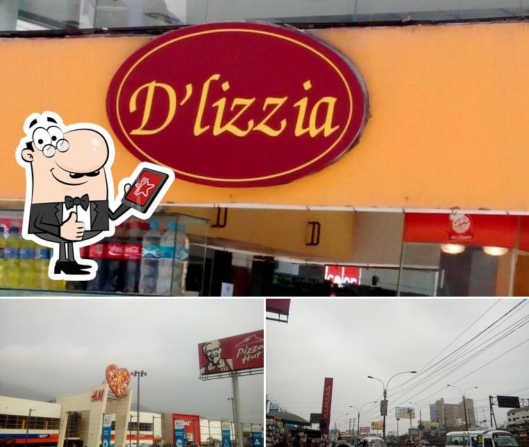 D lizzia