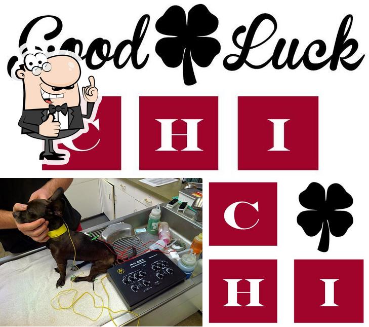 Good Luck Chi
