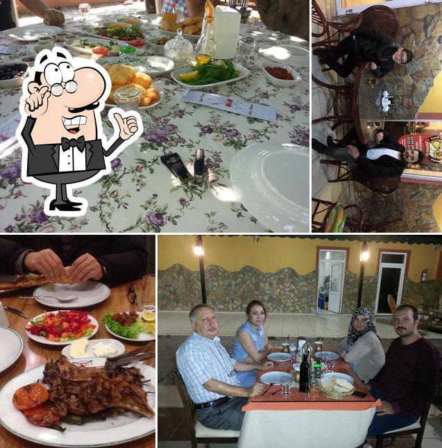 Palmiye Et Mangal