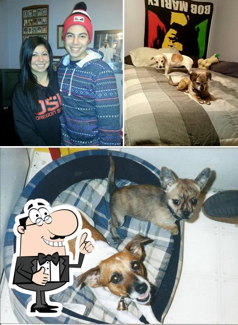 Bella and Buster's