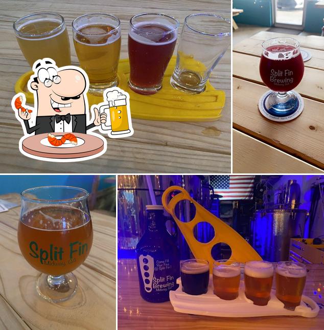Split Fin Brewing