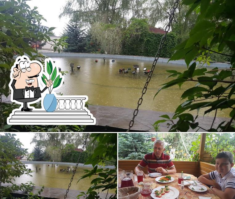 Старая мельница