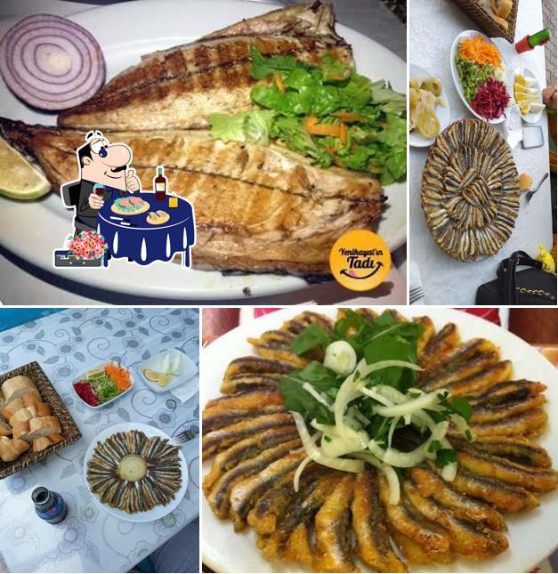 Yalcin Fish