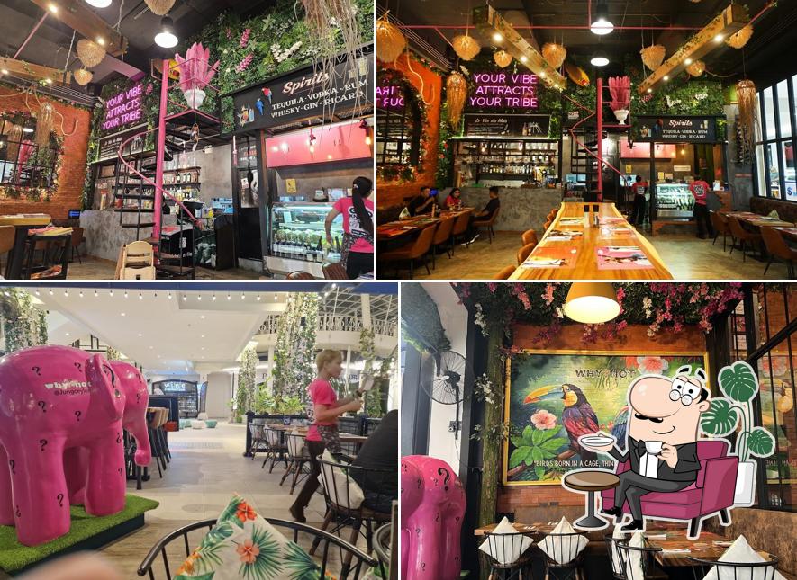 WHY NOT Restaurant Phuket @ Jungceylon