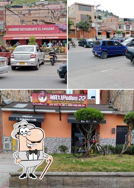 MAXI POLLOS 22