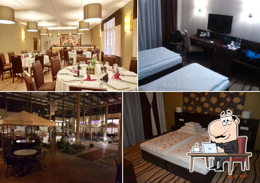 Hotel Arkas (Restauracja, Kręgielnia, Basen, Cukiernia)