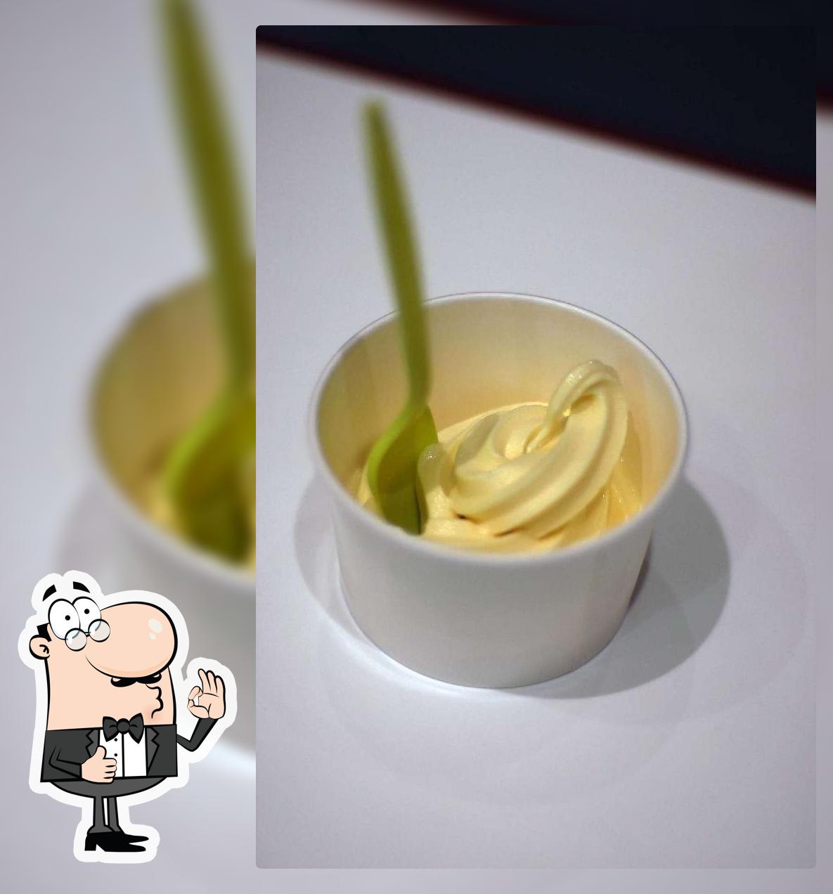 Y Frozen Yogurt Bar