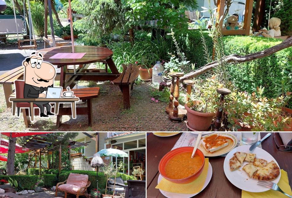 Cafe-aperitiv Toko